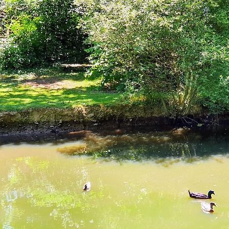 Tout Le Confort Au Milieu D'Un Parc Botanique Noyal-Muzillac Eksteriør billede