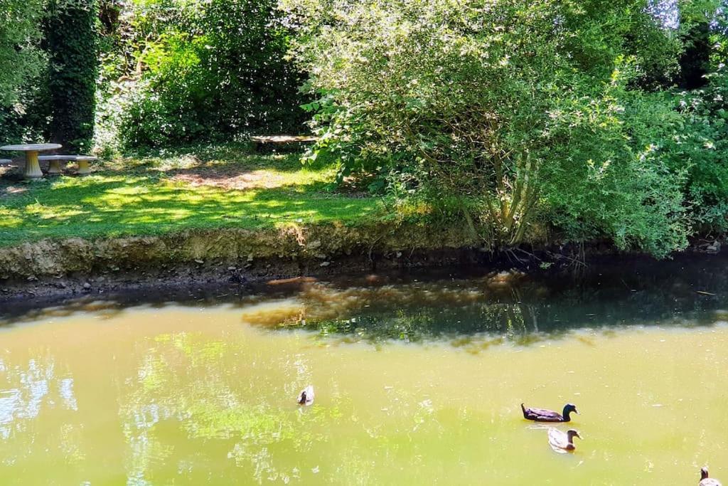 Tout Le Confort Au Milieu D'Un Parc Botanique Noyal-Muzillac Eksteriør billede